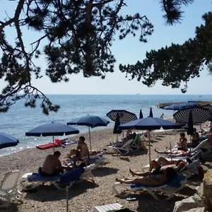Lavanda Umag